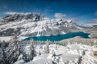 Image du lac Peyto au Canada
