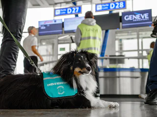 Chien d'assistance Genève Aéroport