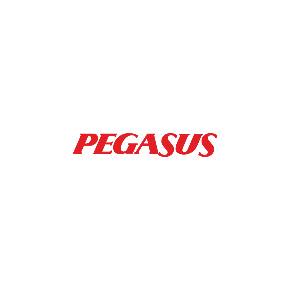 Logo Aegan