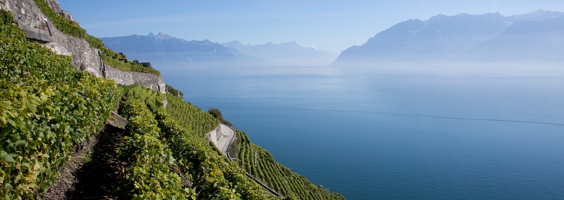 Swiss Wine pop-up at Genève Aéroport