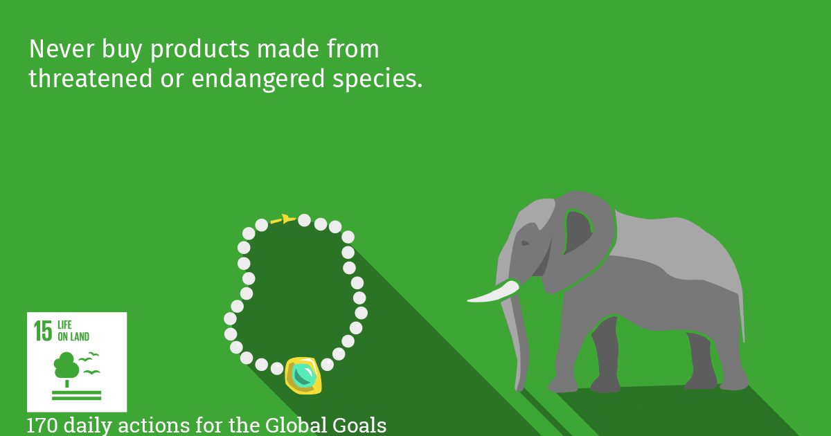 Never buy products made from threatened or endangered species.